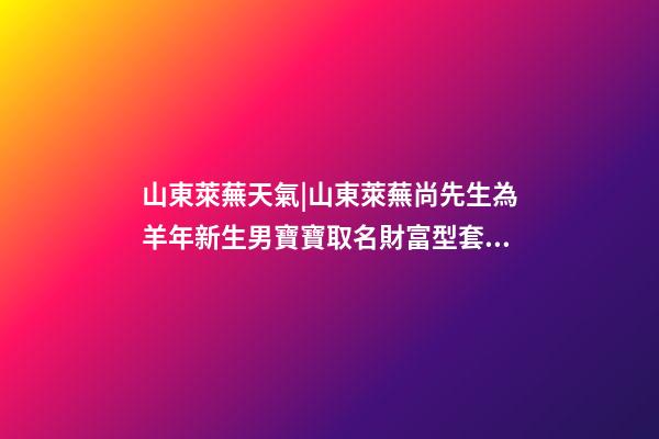 山東萊蕪天氣|山東萊蕪尚先生為羊年新生男寶寶取名財富型套餐-第1張-公司起名-玄機派